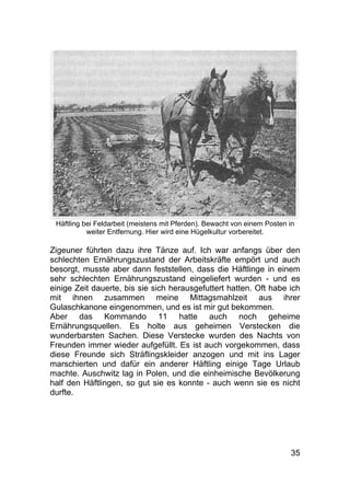 35
Häftling bei Feldarbeit (meistens mit Pferden). Bewacht von einem Posten in
weiter Entfernung. Hier wird eine Hügelkultur vorbereitet.
Zigeuner führten dazu ihre Tänze auf. Ich war anfangs über den
schlechten Ernährungszustand der Arbeitskräfte empört und auch
besorgt, musste aber dann feststellen, dass die Häftlinge in einem
sehr schlechten Ernährungszustand eingeliefert wurden - und es
einige Zeit dauerte, bis sie sich herausgefuttert hatten. Oft habe ich
mit ihnen zusammen meine Mittagsmahlzeit aus ihrer
Gulaschkanone eingenommen, und es ist mir gut bekommen.
Aber das Kommando 11 hatte auch noch geheime
Ernährungsquellen. Es holte aus geheimen Verstecken die
wunderbarsten Sachen. Diese Verstecke wurden des Nachts von
Freunden immer wieder aufgefüllt. Es ist auch vorgekommen, dass
diese Freunde sich Sträflingskleider anzogen und mit ins Lager
marschierten und dafür ein anderer Häftling einige Tage Urlaub
machte. Auschwitz lag in Polen, und die einheimische Bevölkerung
half den Häftlingen, so gut sie es konnte - auch wenn sie es nicht
durfte.
 