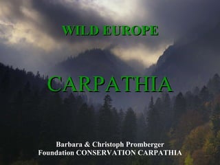 WILD EUROPE Barbara & Christoph Promberger Foundation CONSERVATION CARPATHIA CARPATHIA 