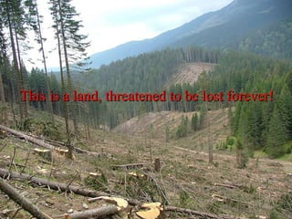 This is a land, threatened to be lost forever! 