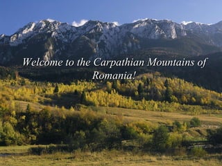 Welcome to the Carpathian Mountains of Romania! 