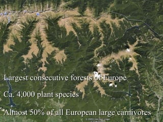 Largest consecutive forests of Europe Ca. 4,000 plant species Almost 50% of all European large carnivores  