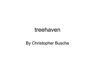 treehaven By Christopher Busche 