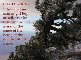 (Rev 13:17 KJV)
17 And that no
man might buy
or sell, save he
that had the
mark, or the
name of the
beast, or the
number of his
name.
 