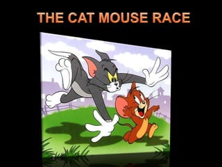 THE CAT MOUSE RACE