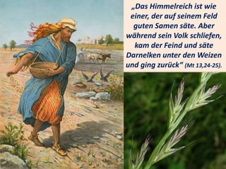.
„Das Himmelreich ist wie
einer, der auf seinem Feld
guten Samen säte. Aber
während sein Volk schliefen,
kam der Feind und säte
Darnelken unter den Weizen
und ging zurück“ (Mt 13,24-25).
 