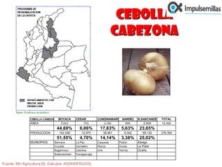 CEBOLLA cABEZONAFuente: Min Agricultura 00, Calculos: ASOHOFRUCOL