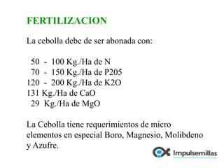 FERTILIZACIONLa cebolla debe de ser abonada con:  50  -  100 Kg./Ha de N  70  -  150 Kg./Ha de P205120  -  200 Kg./Ha de K2O131 Kg./Ha de CaO  29  Kg./Ha de MgOLa Cebolla tiene requerimientos de micro elementos en especial Boro, Magnesio, Molibdeno y Azufre.