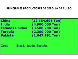 PRINCIPALES PRODUCTORES DE CEBOLLA DE BULBOChina 		       (12.184.696 Ton) India 			(4.900.000 Ton)Estados Unidos 	(3.580.200 Ton) Turquía			(2.300.000 Ton)Pakistán			(1.647.991 Ton)Otros		Brasil,  Japón, España.