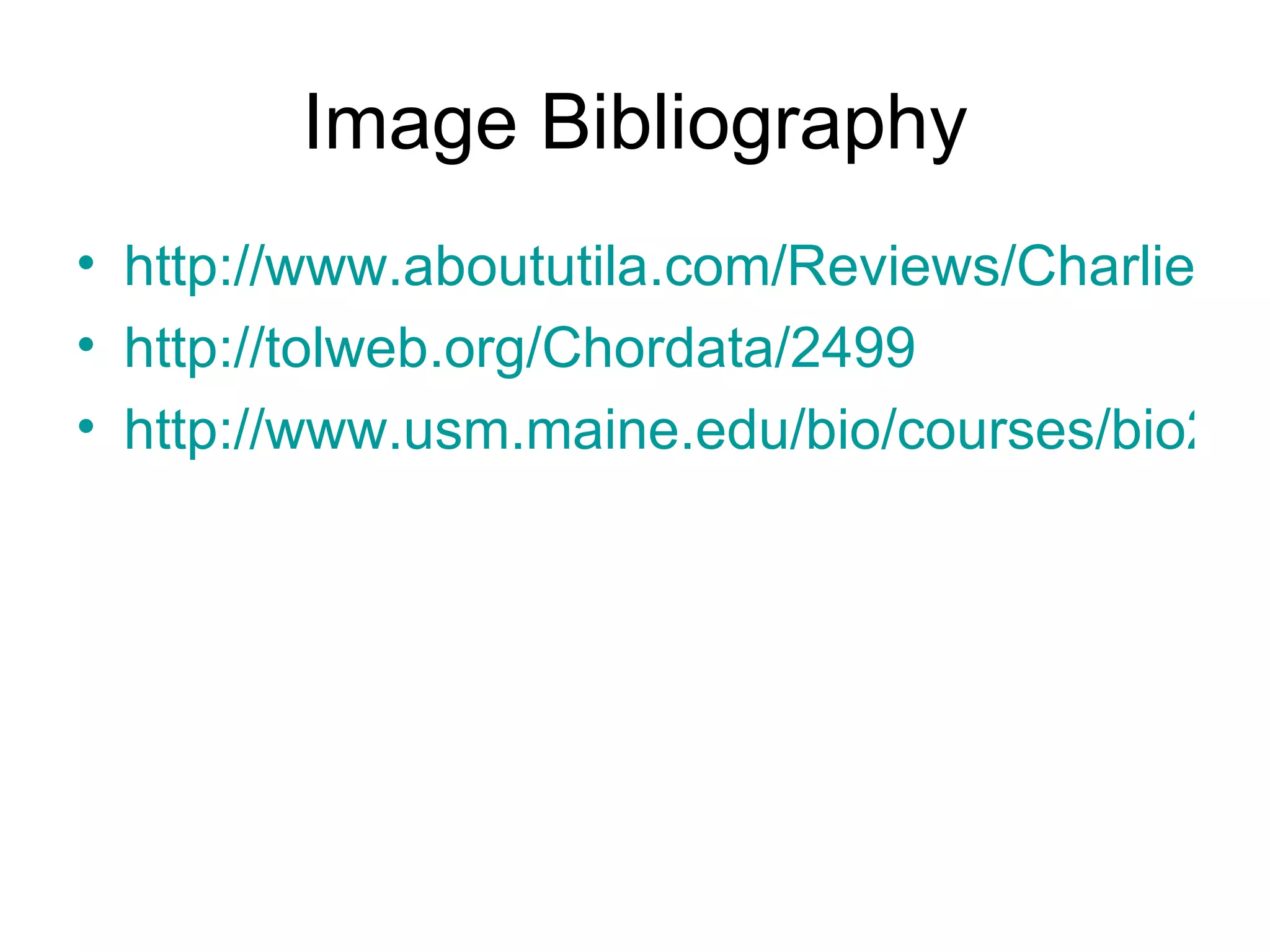 Image Bibliography http://www.aboututila.com/Reviews/Charlie-Johnson/Photos/Bluebell-Tunicates.jpg http://tolweb.org/Chordata/2499 http://www.usm.maine.edu/bio/courses/bio205/Urochordate%20tree.jpg 