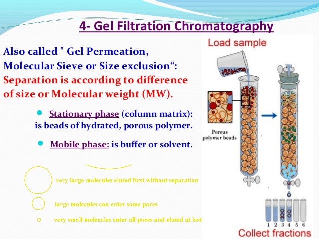 gel filtration chromatography