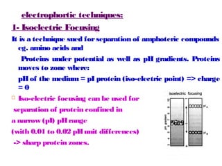 electrophortic techniques: 
1- Isoelectric Focusing 
It is a technique sued for separation of amphoteric compounds 
eg. amino acids and 
Proteins under potential as well as pH gradients. Proteins 
moves to zone where: 
pH of the medium = pI protein (iso-electric point) => charge 
= 0 
 Iso-electric focusing can be used for 
separation of protein confined in 
a narrow (pI) pH range 
(with 0.01 to 0.02 pH unit differences) 
-> sharp protein zones. 
 