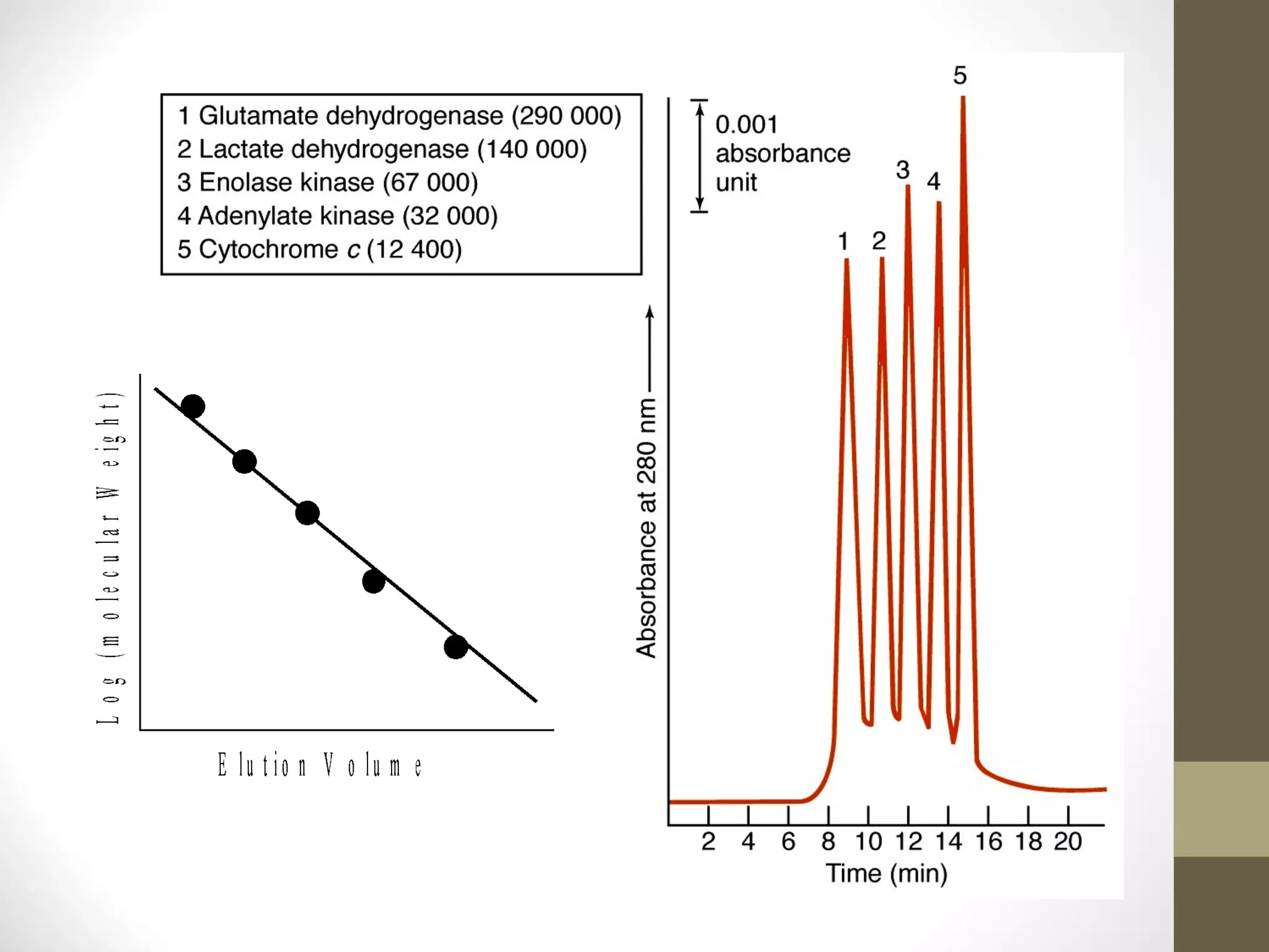 Chromatographic Methods of Analysis ( Gel Chromatography Method ) | PPT