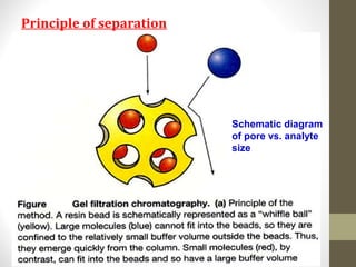Principle of separation 
Schematic diagram 
of pore vs. analyte 
size 
 