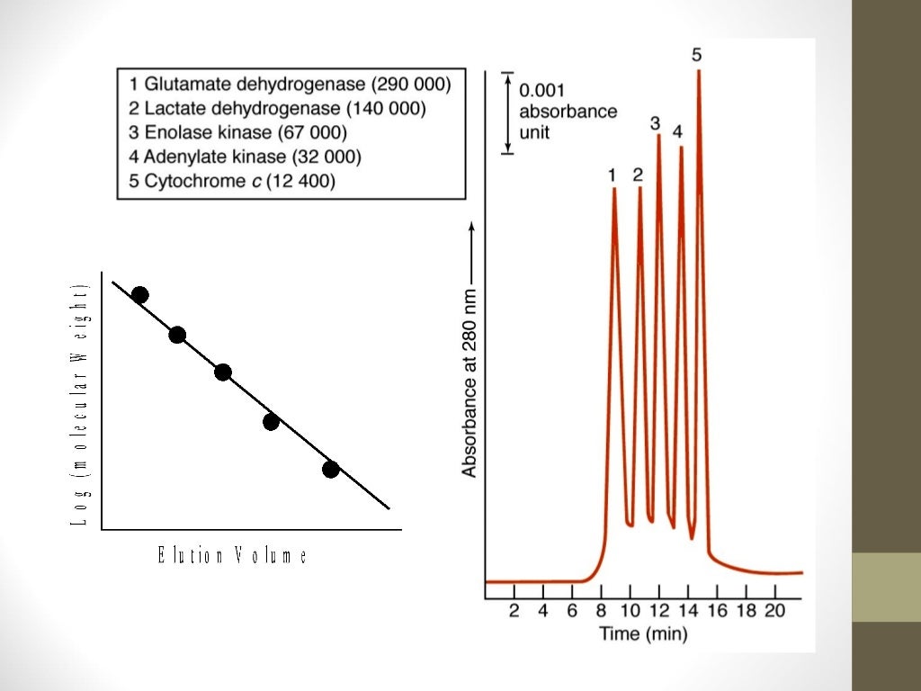 Chromatographic Methods of Analysis ( Gel Chromatography Method )