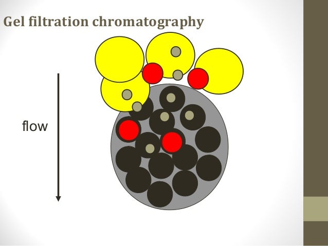 gel filtration chromatography research paper gel filtration chromatography research paper