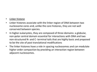 • Linker histone
• Linker histones associate with the linker region of DNA between two
nucleosome cores and, unlike the core histones, they are not well
conserved between species.
• In higher eukaryotes, they are composed of three domains: a globular,
non-polar central domain essential for interactions with DNA and two
non-structured N- and C- terminal tails that are highly basic and proposed
to be the site of post translational modifications
• The linker histones have a role in spacing nucleosomes and can modulate
higher order compaction by providing an interaction region between
adjacent nucleosomes.
 