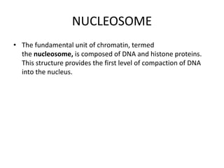 NUCLEOSOME
• The fundamental unit of chromatin, termed
the nucleosome, is composed of DNA and histone proteins.
This structure provides the first level of compaction of DNA
into the nucleus.
 