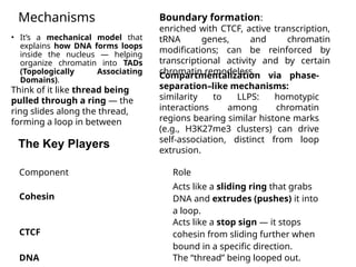 Chromatin architecture (TADs, loops), phase separation in nuclear ...