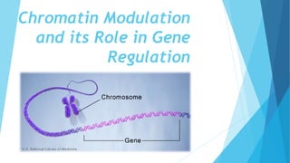 Chromatin Modulation
and its Role in Gene
Regulation
 