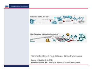 Sample & Assay Technologies

Chromatin-Based Regulation of Gene Expression
George J. Quellhorst, Jr., PhD
Associate Director, R&D, Biological Research Content Development

 