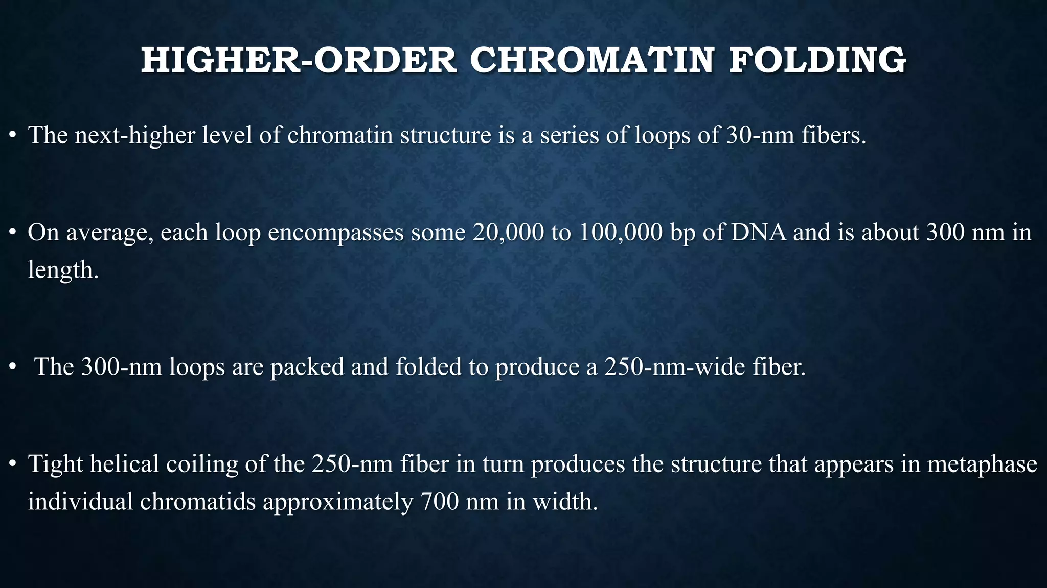 HIGHER-ORDER CHROMATIN FOLDING
• The next-higher level of chromatin structure is a series of loops of 30-nm fibers.
• On average, each loop encompasses some 20,000 to 100,000 bp of DNA and is about 300 nm in
length.
• The 300-nm loops are packed and folded to produce a 250-nm-wide fiber.
• Tight helical coiling of the 250-nm fiber in turn produces the structure that appears in metaphase
individual chromatids approximately 700 nm in width.
 