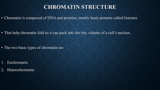 CHROMATIN STRUCTURE
• Chromatin is composed of DNA and proteins, mostly basic proteins called histones
• That help chromatin fold so it can pack into the tiny volume of a cell’s nucleus.
• The two basic types of chromatin are
1. Euchromatin
2. Heterochromatin
 