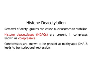 Histone Deacetylation
Removal of acetyl-groups can cause nucleosomes to stabilize
Histone deacetylases (HDACs) are present in complexes
known as corepressors
Corepressors are known to be present at methylated DNA &
leads to transcriptional repression
 