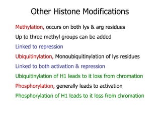 Other Histone Modifications
Methylation, occurs on both lys & arg residues
Up to three methyl groups can be added
Linked to repression
Ubiquitinylation, Monoubiquitinylation of lys residues
Linked to both activation & repression
Ubiquitinylation of H1 leads to it loss from chromation
Phosphorylation, generally leads to activation
Phosphorylation of H1 leads to it loss from chromation
 