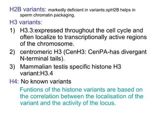 H2B variants: markedly deficient in variants.spH2B helps in
sperm chromatin packaging.
H3 variants:
1) H3.3:expressed throughout the cell cycle and
often localize to transcriptionally active regions
of the chromosome.
2) centromeric H3 (CenH3: CenPA-has divergant
N-terminal tails).
3) Mammalian testis specific histone H3
variant:H3.4
H4: No known variants
Funtions of the histone variants are based on
the correlation between the localisation of the
variant and the activity of the locus.
 