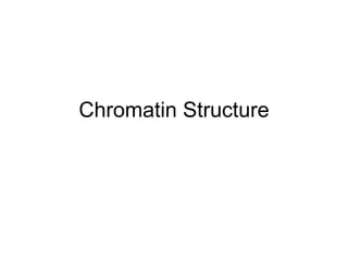 Chromatin Structure
 