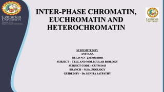 INTER-PHASE CHROMATIN,
EUCHROMATIN AND
HETEROCHROMATIN
SUBMMITED BY
ANITA SA
REGD NO - 230705180001
SUBJECT – CELLAND MOLECULAR BIOLOGY
SUBJECT CODE – CUTM1443
BRANCH – M.Sc. ZOOLOGY
GUIDED BY – Dr. SUNITA SATPATHY
 