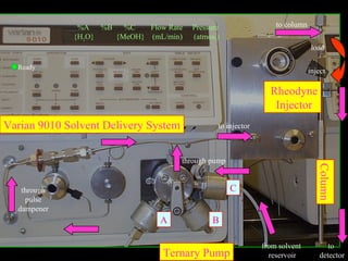 %A %B %C    Flow Rate     Pressure                 to column
             {H2O} {MeOH} (mL/min)      (atmos.)
                                                                             load

  Ready
                                                                             inject

                                                               Rheodyne
                                                                Injector
Varian 9010 Solvent Delivery System            to injector



                                      through pump




                                                                                Column
   through                                           C
    pulse
  dampener
                               A              B

                                                             from solvent           to
                               Ternary Pump                    reservoir         detector
 