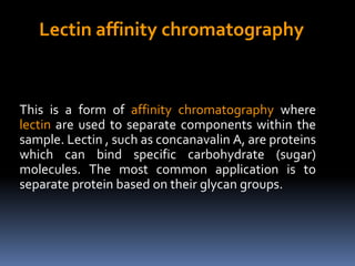 Lectin affinity chromatography
This is a form of affinity chromatography where
lectin are used to separate components within the
sample. Lectin , such as concanavalin A, are proteins
which can bind specific carbohydrate (sugar)
molecules. The most common application is to
separate protein based on their glycan groups.
 