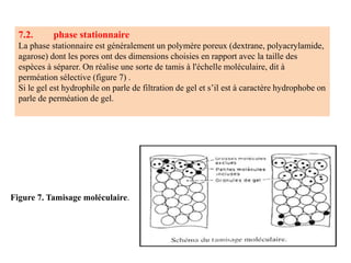7.2. phase stationnaire
La phase stationnaire est généralement un polymère poreux (dextrane, polyacrylamide,
agarose) dont les pores ont des dimensions choisies en rapport avec la taille des
espèces à séparer. On réalise une sorte de tamis à l'échelle moléculaire, dit à
perméation sélective (figure 7) .
Si le gel est hydrophile on parle de filtration de gel et s’il est à caractère hydrophobe on
parle de perméation de gel.
Figure 7. Tamisage moléculaire.
 