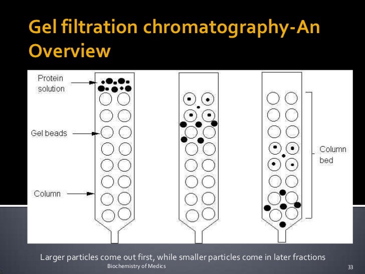 gel filtration chromatography