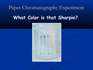 Paper Chromatography Experiment
 What Color is that Sharpie?
 