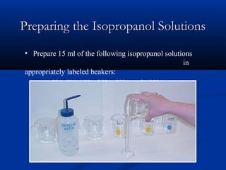 Preparing the Isopropanol Solutions
• Prepare 15 ml of the following isopropanol solutions
                                                   in
appropriately labeled beakers:
       - 0%, 5%, 10%, 20%, 50%, and 100%
 