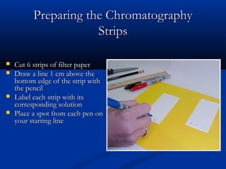 Preparing the Chromatography
                      Strips

   Cut 6 strips of filter paper
   Draw a line 1 cm above the
    bottom edge of the strip with
    the pencil
   Label each strip with its
    corresponding solution
   Place a spot from each pen on
    your starting line
 