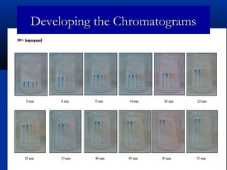 Developing the Chromatograms
 
