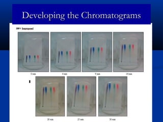 Developing the Chromatograms
 