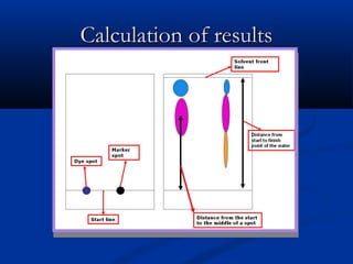 Calculation of results
 