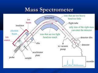 Mass Spectrometer
 