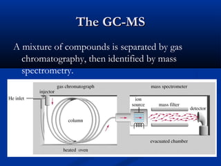 The GC-MS
A mixture of compounds is separated by gas
  chromatography, then identified by mass
  spectrometry.
 