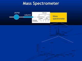 Mass Spectrometer

pump
       column
                                                                        Mass
                                                                        spectrometer


                                                               RT:
                                                                 10.00 - 15.12
                                                                100                 847.42   Chromatogram
                                                                             852.75
                                                                 80

                                                                 60
                                                                                             877.43
                                                                 40                                766.40

                                                                 20

                                                                 0




                                                                  1270.60
                                     40
                Relative Abundance




                                     35
                                     30        847.41
                                     25
                                     20
                                                                                                                 2541.21
                                     15
                                           827.45
                                     10
                                                          1140.61                                           2390.83
                                      5             1011.57           1400.61                     2169.06
                                          797.08                               1625.78 1842.88
                                      0
                                                        1000                1500             2000                2500
                                                                                 m/z
 