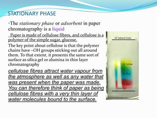 STATIONARY PHASE
•The stationary phase or adsorbent in paper
chromatography is a liquid
Paper is made of cellulose fibres, and cellulose is a
polymer of the simple sugar, glucose.
The key point about cellulose is that the polymer
chains have –OH groups sticking out all around
them. To that extent, it presents the same sort of
surface as silica gel or alumina in thin layer
chromatography
cellulose fibres attract water vapour from
the atmosphere as well as any water that
was present when the paper was made.
You can therefore think of paper as being
cellulose fibres with a very thin layer of
water molecules bound to the surface.
 
