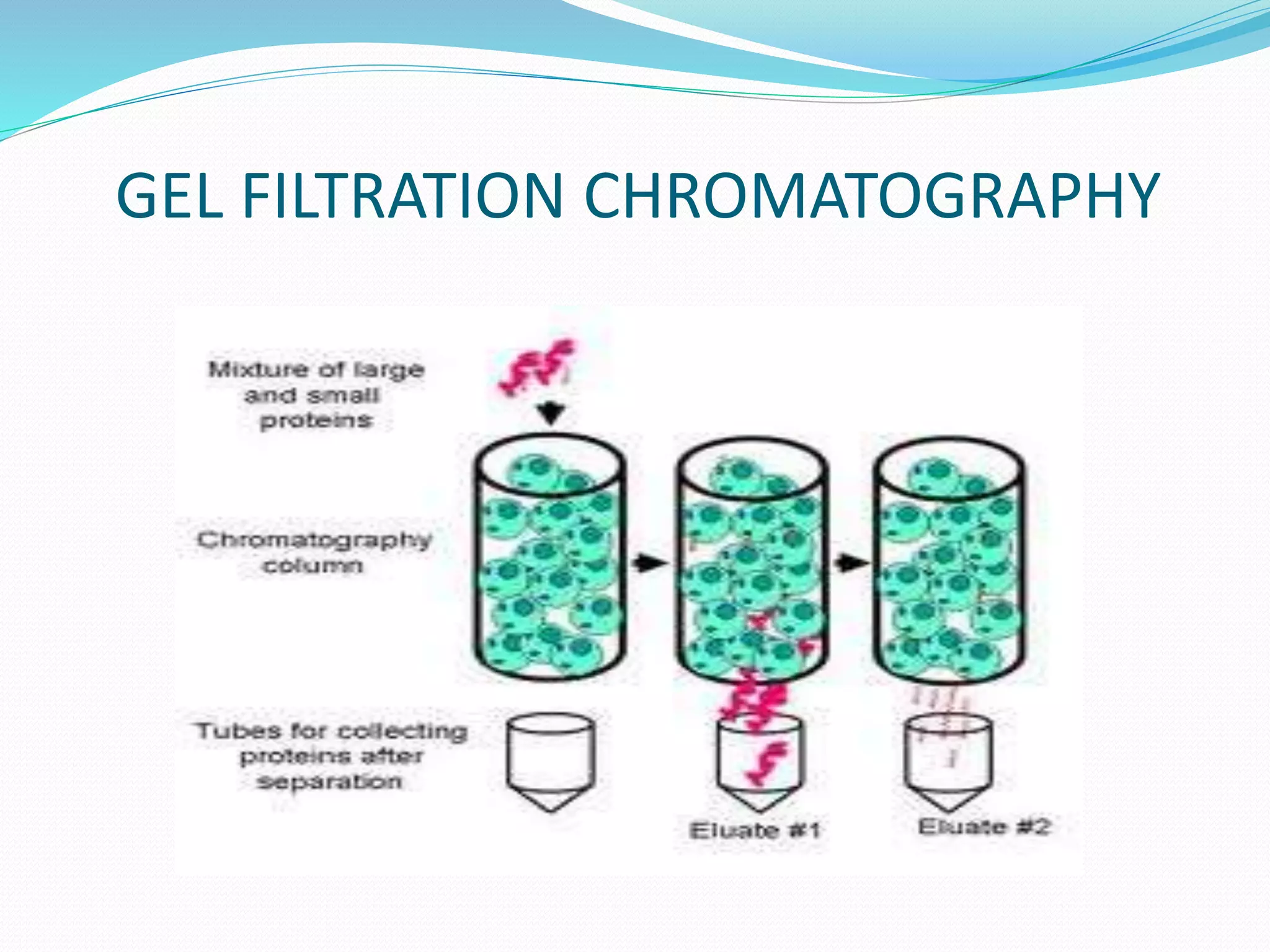 GEL FILTRATION CHROMATOGRAPHY
 