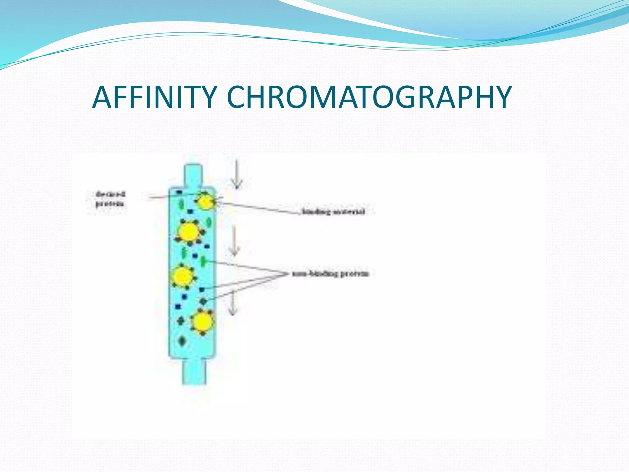 AFFINITY CHROMATOGRAPHY
 