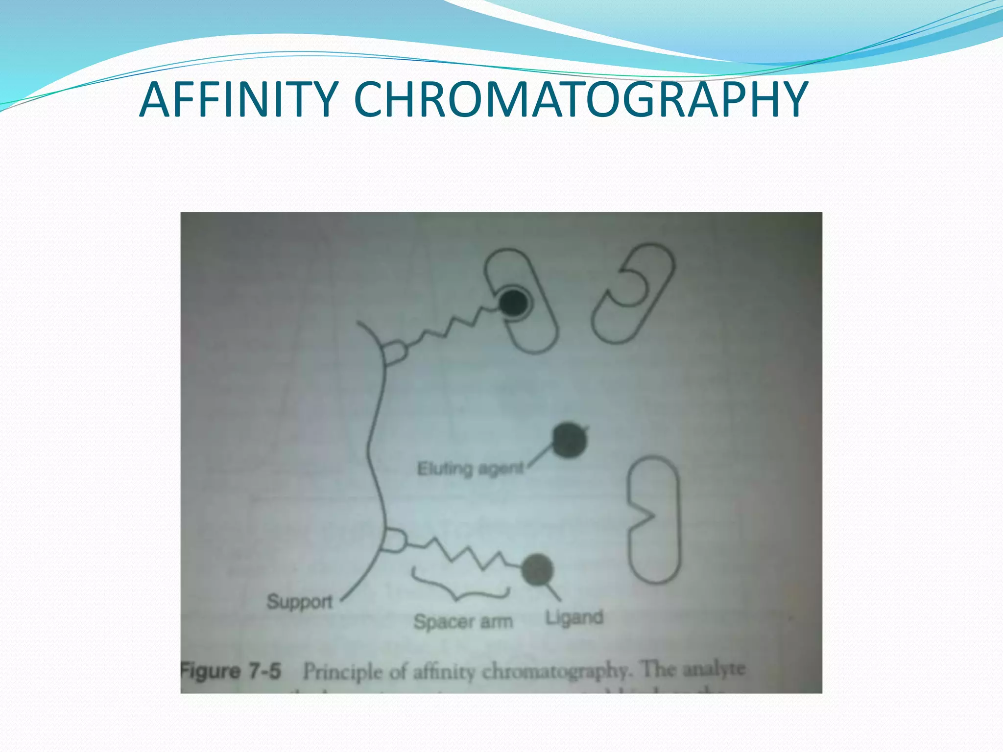 AFFINITY CHROMATOGRAPHY
 