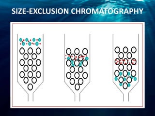 SIZE-EXCLUSION CHROMATOGRAPHY
 