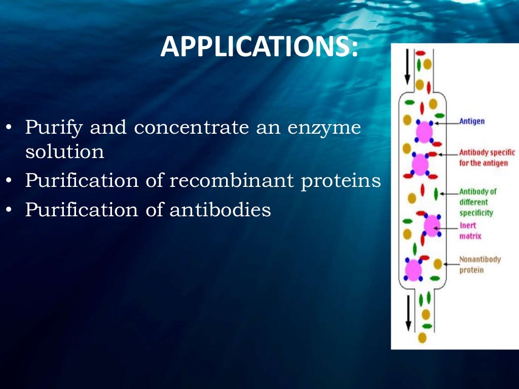 Chromatography (Pharmacognosy)